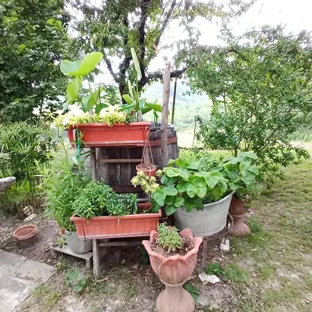 Tra Grilli E Cicale ゲストハウス デルータ