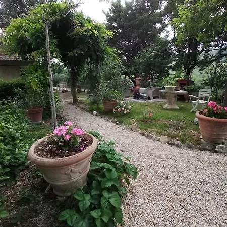 Tra Grilli E Cicale デルータ