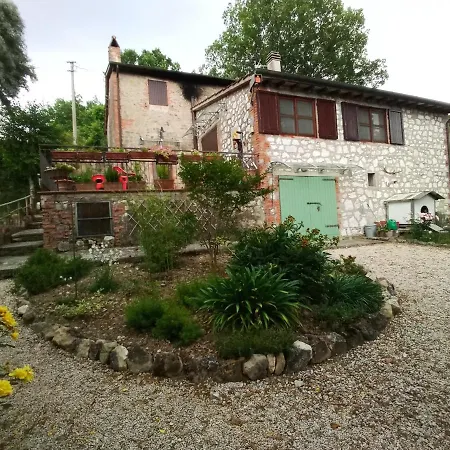 Tra Grilli E Cicale デルータ