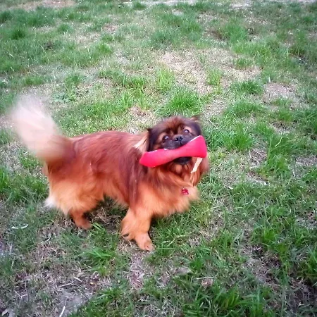 ゲストハウス Tra Grilli E Cicale