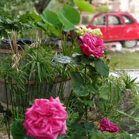 Tra Grilli E Cicale 3* Deruta