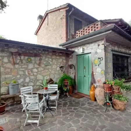 Tra Grilli E Cicale デルータ