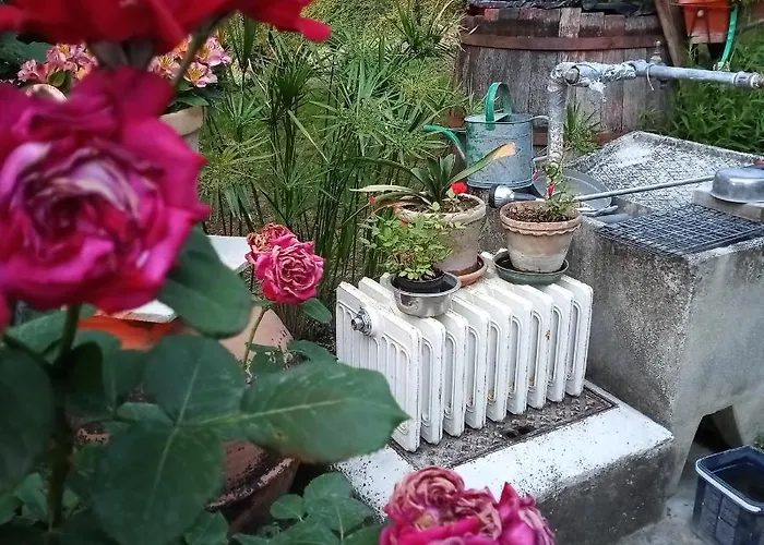 Affittacamere Tra Grilli E Cicale Deruta