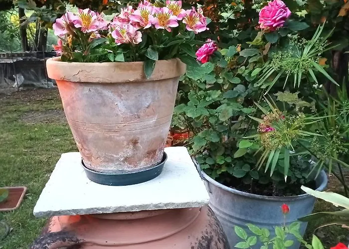 Affittacamere Tra Grilli E Cicale Deruta