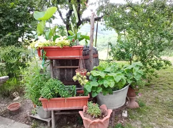 Tra Grilli E Cicale Affittacamere Deruta
