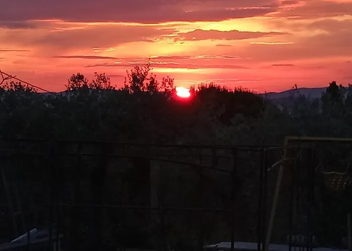 Tra Grilli E Cicale Affittacamere 3*