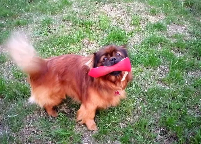 Guest house Tra Grilli E Cicale