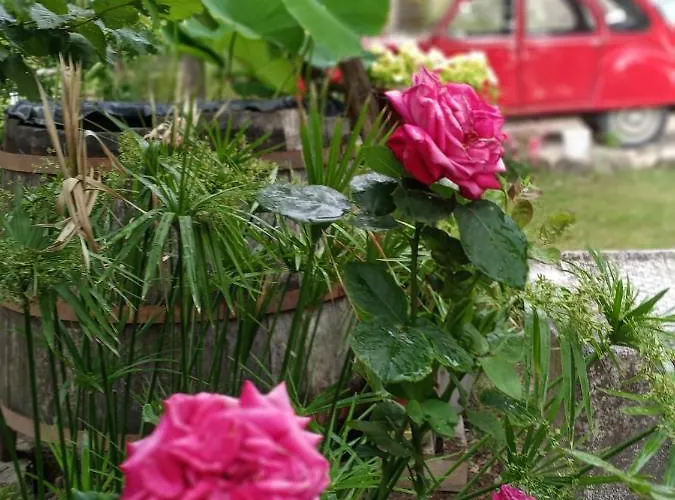 Tra Grilli E Cicale 3* Deruta