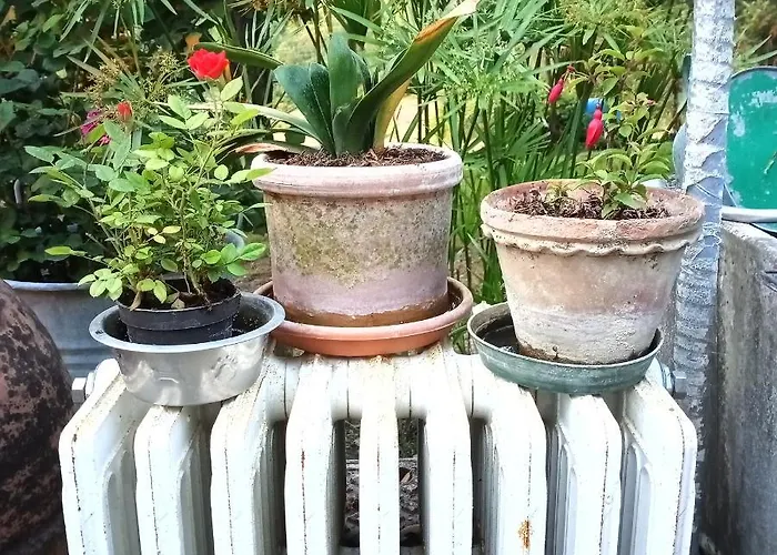 Tra Grilli E Cicale 3* Deruta