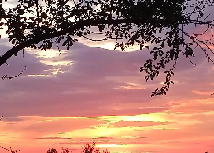 Tra Grilli E Cicale Deruta